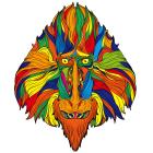 Monkey / S